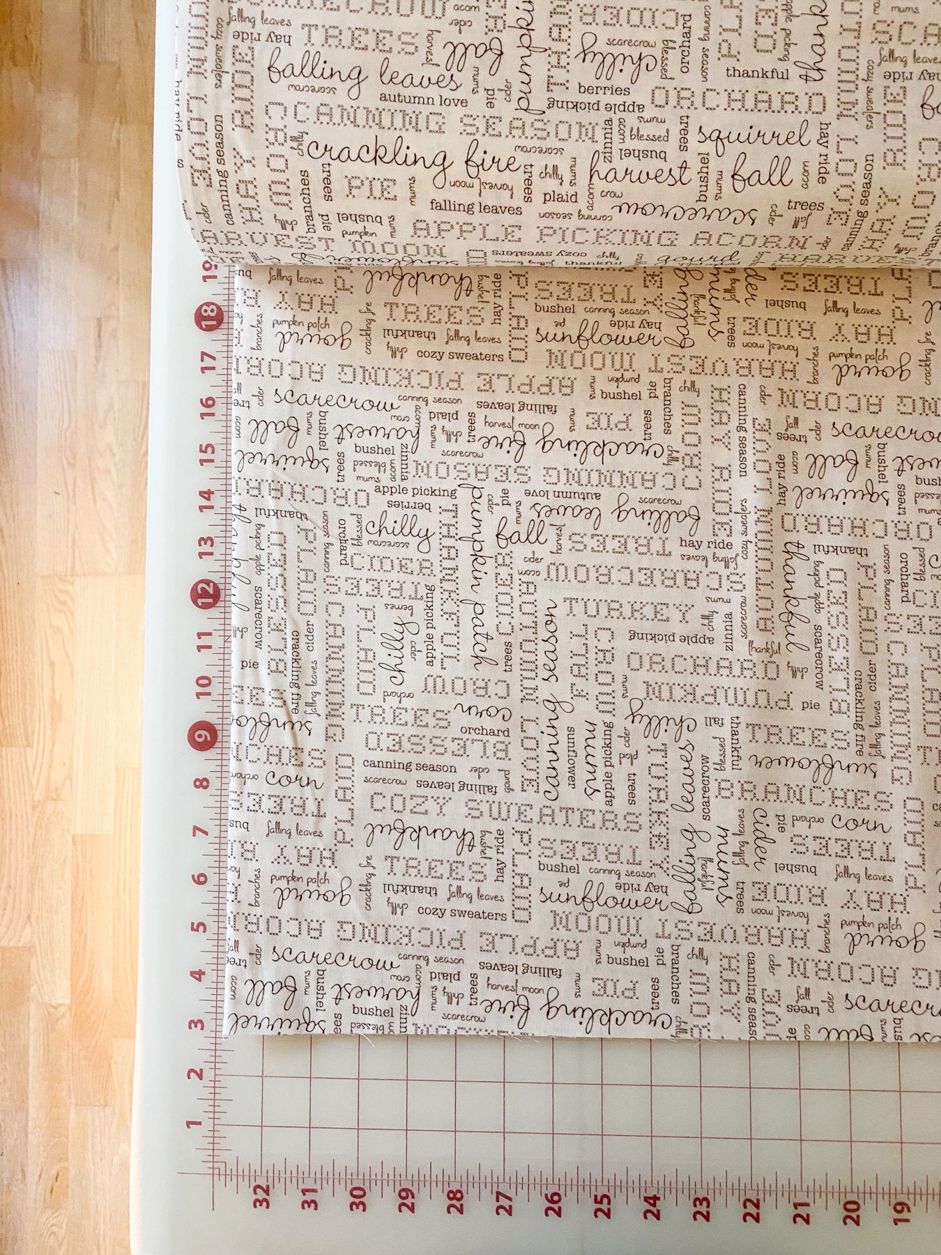 Autumn Words - 108" Wide Quilt Backing