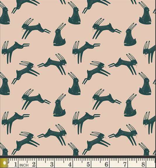 Campsite - Hopping Hare