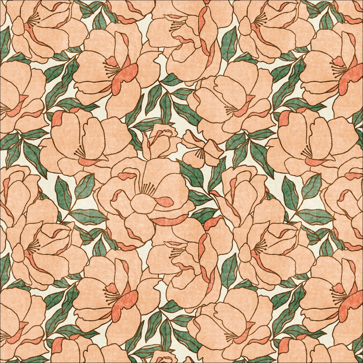 Rosy Deco - Floribunda