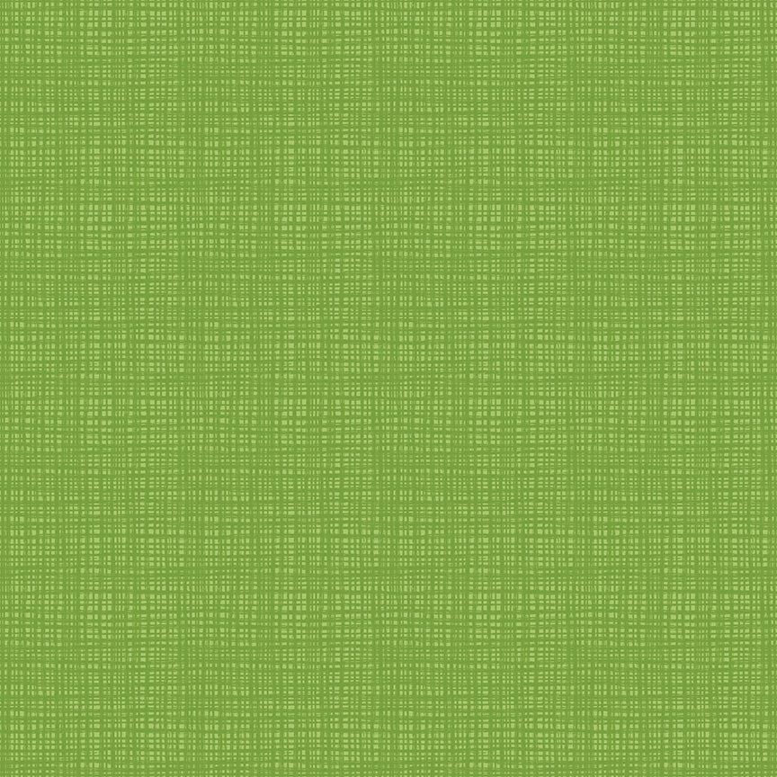 Texture Turtle