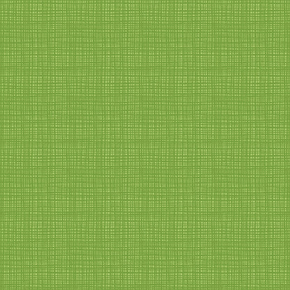 Texture Turtle