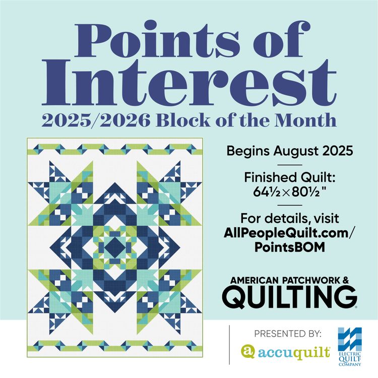 Points of Interest Quilt Kit