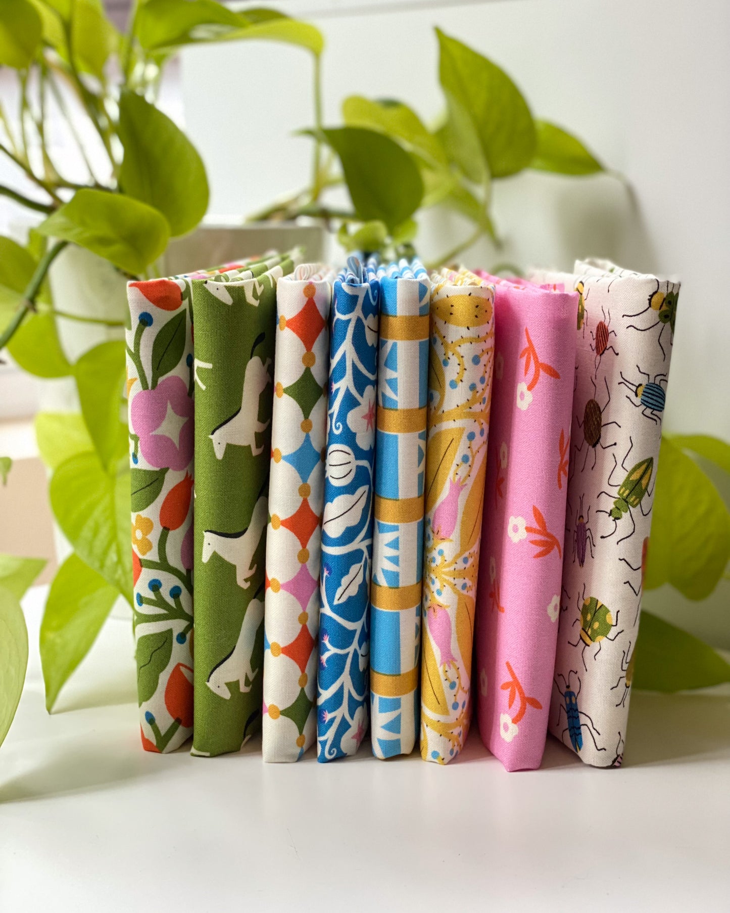 Through The Window - Fat Quarter Bundle